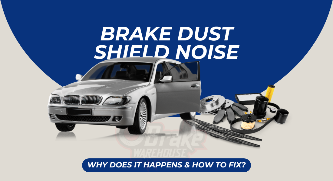 Brake Dust Shield Noise